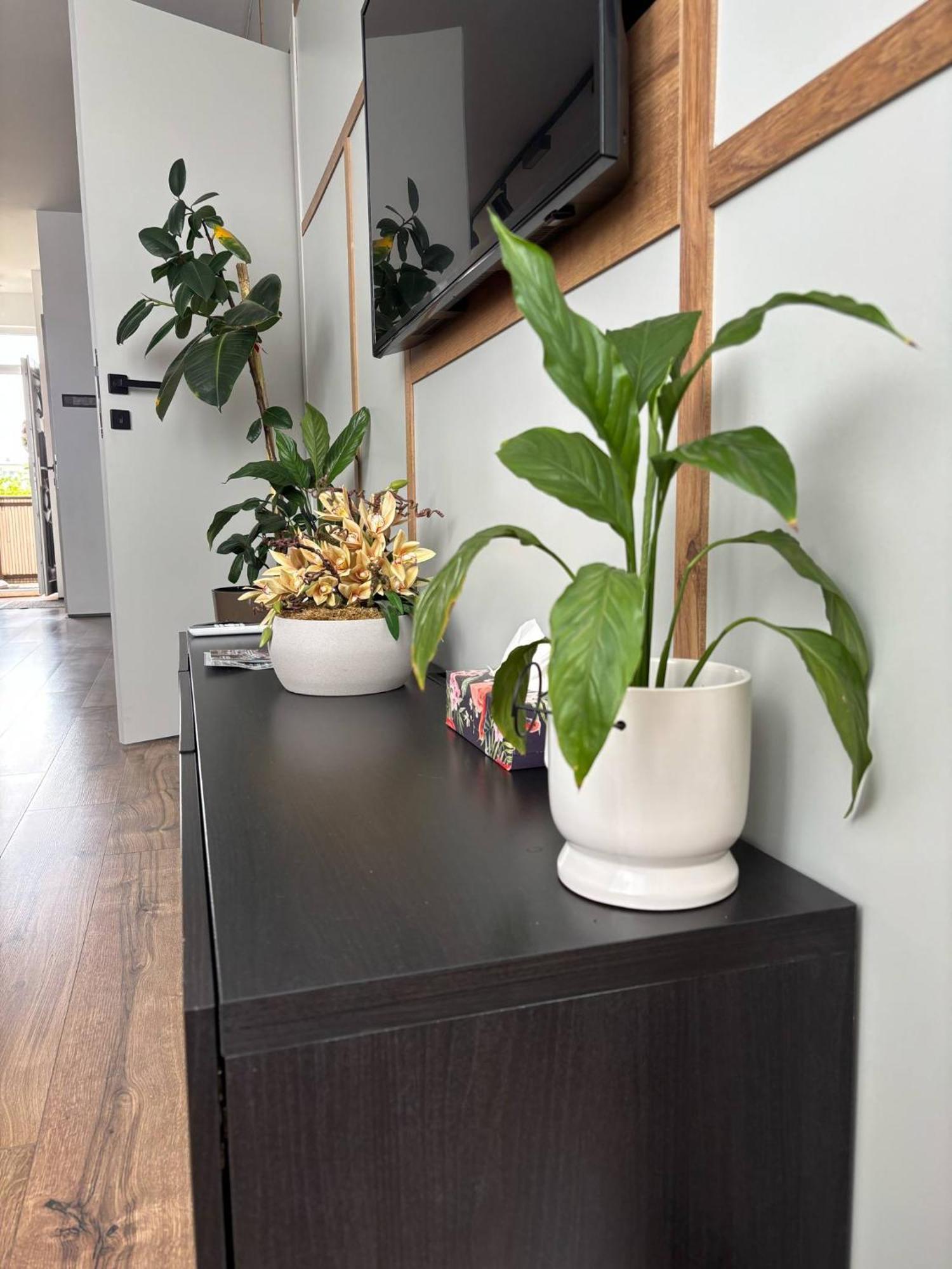 Apartament Taki Debreczyn